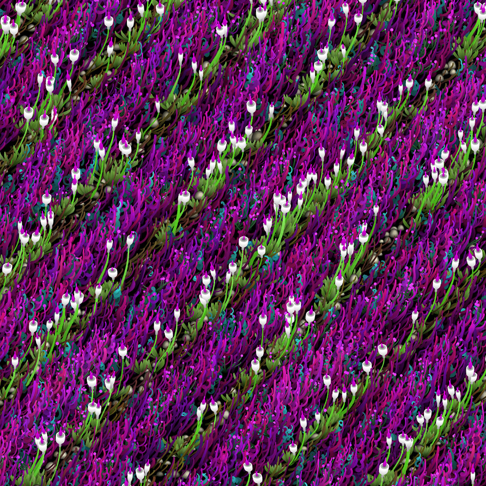 Noisy Gardens #121